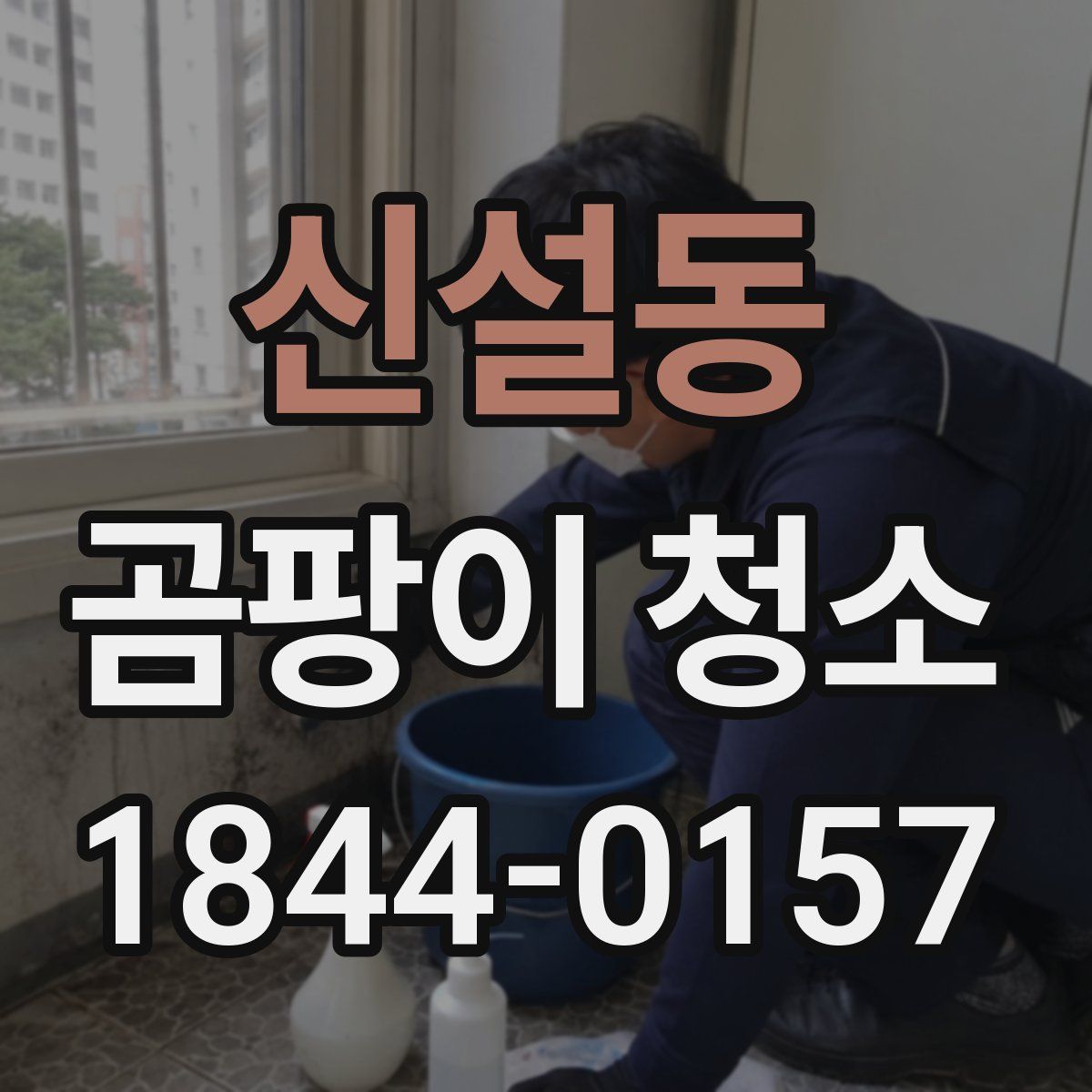 신설동 곰팡이 청소
