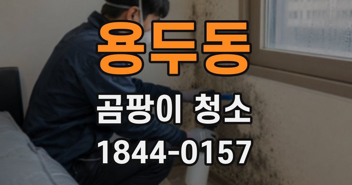 용두동 곰팡이 청소