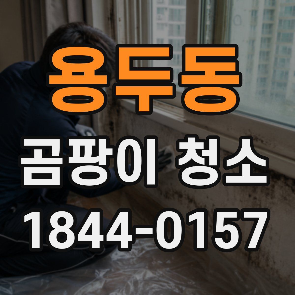 용두동 곰팡이 청소