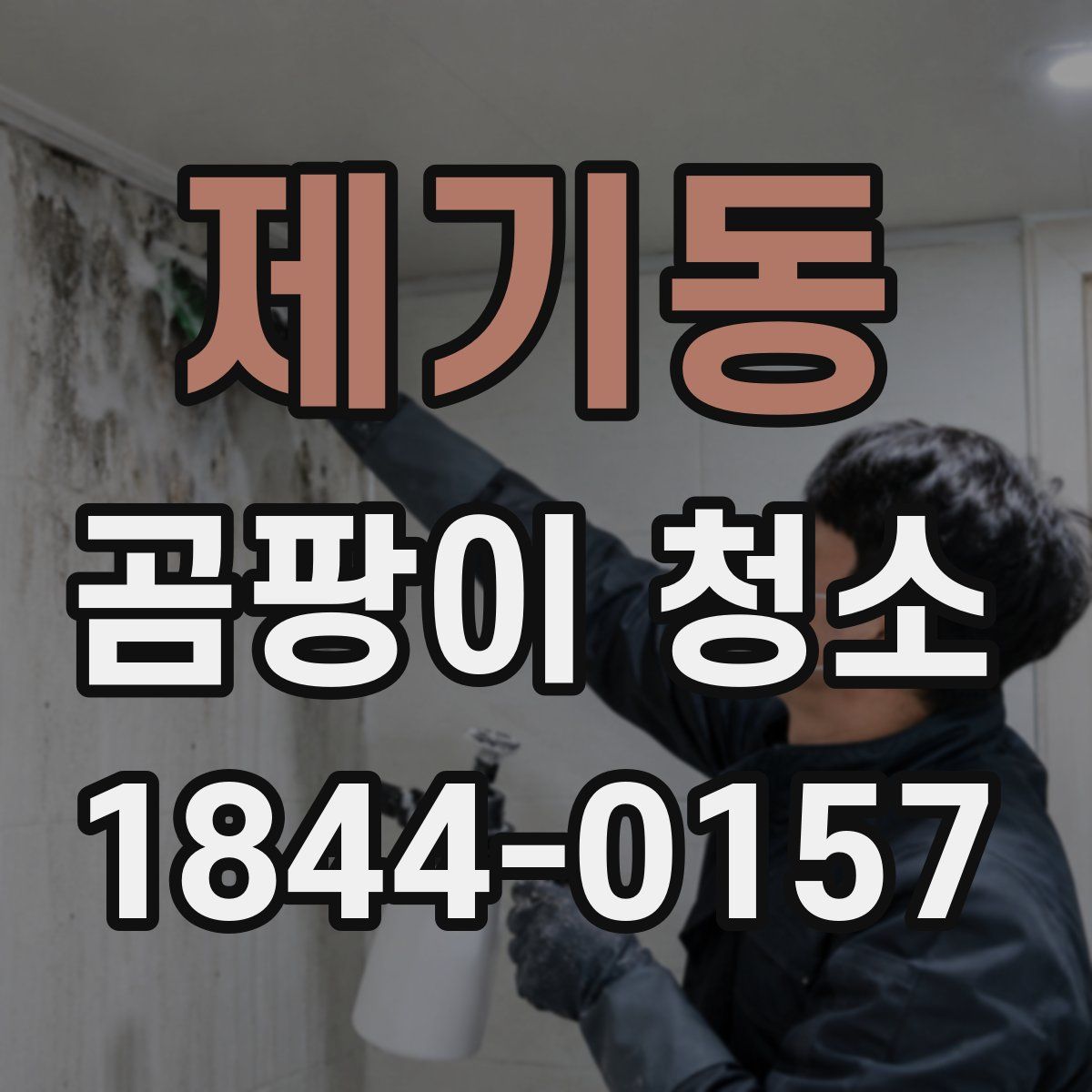 제기동 곰팡이 청소