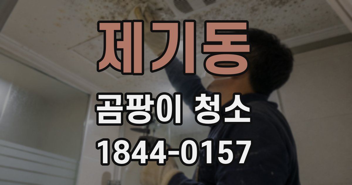 제기동 곰팡이 청소