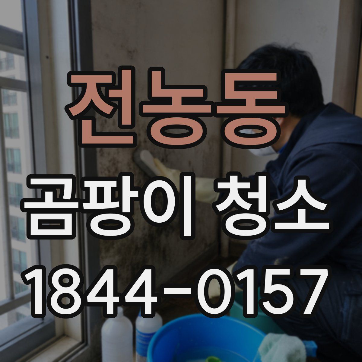 전농동 곰팡이 청소