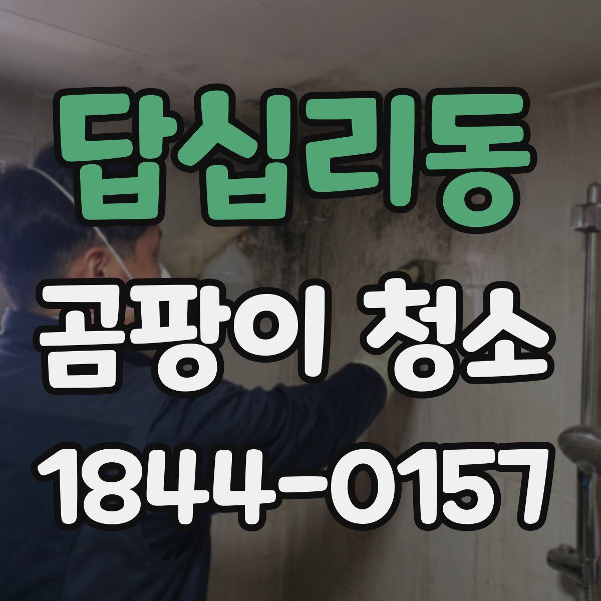 답십리동 곰팡이 청소