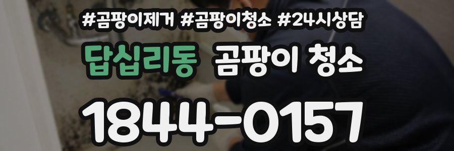 답십리동 곰팡이 청소