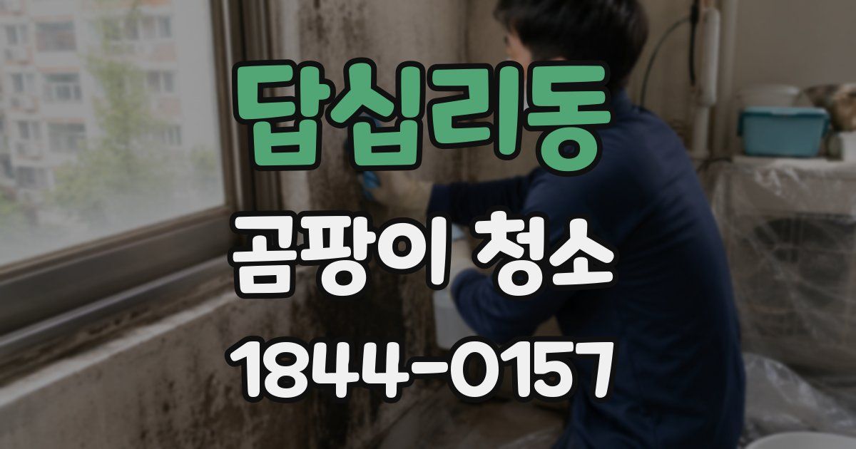 답십리동 곰팡이 청소
