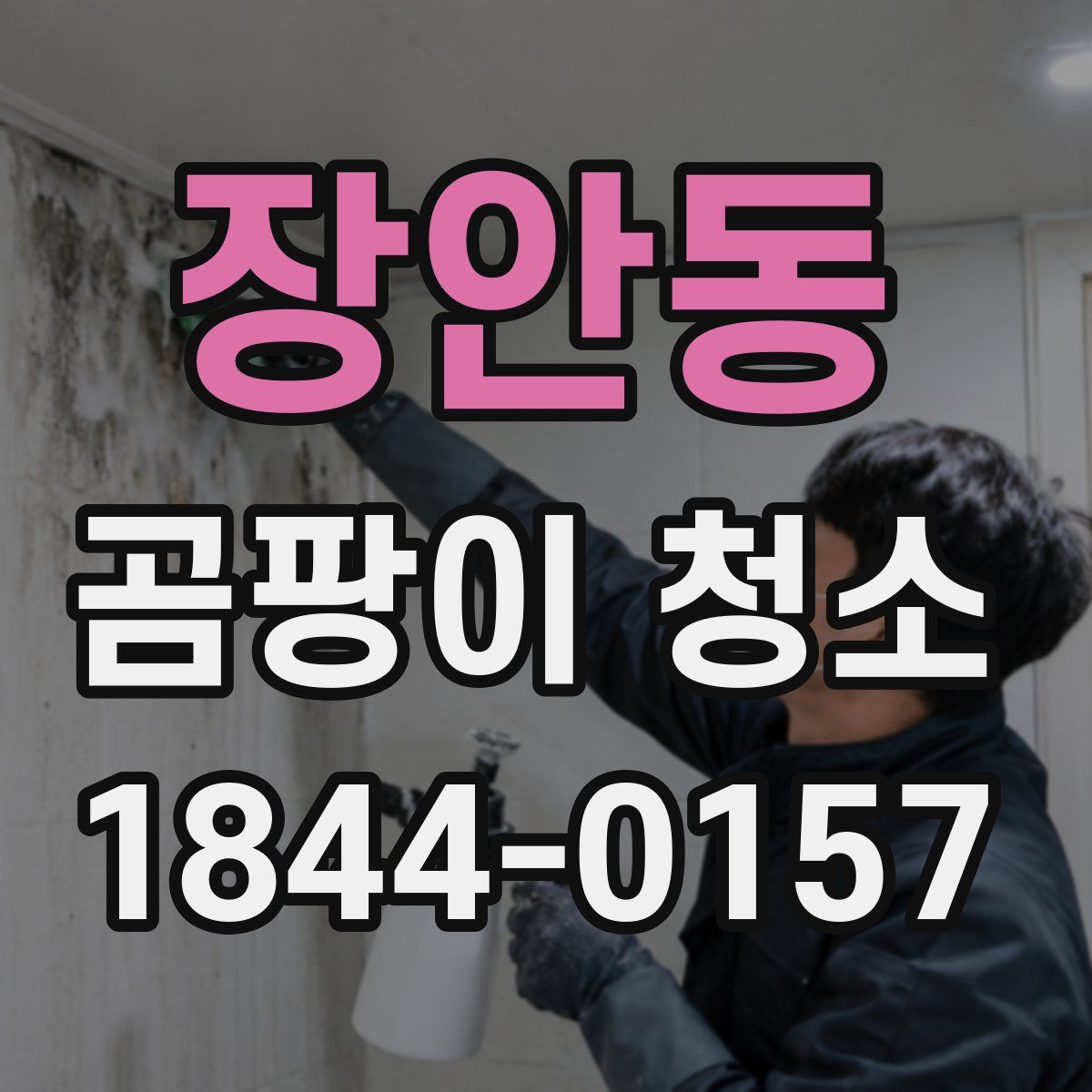 장안동 곰팡이 청소