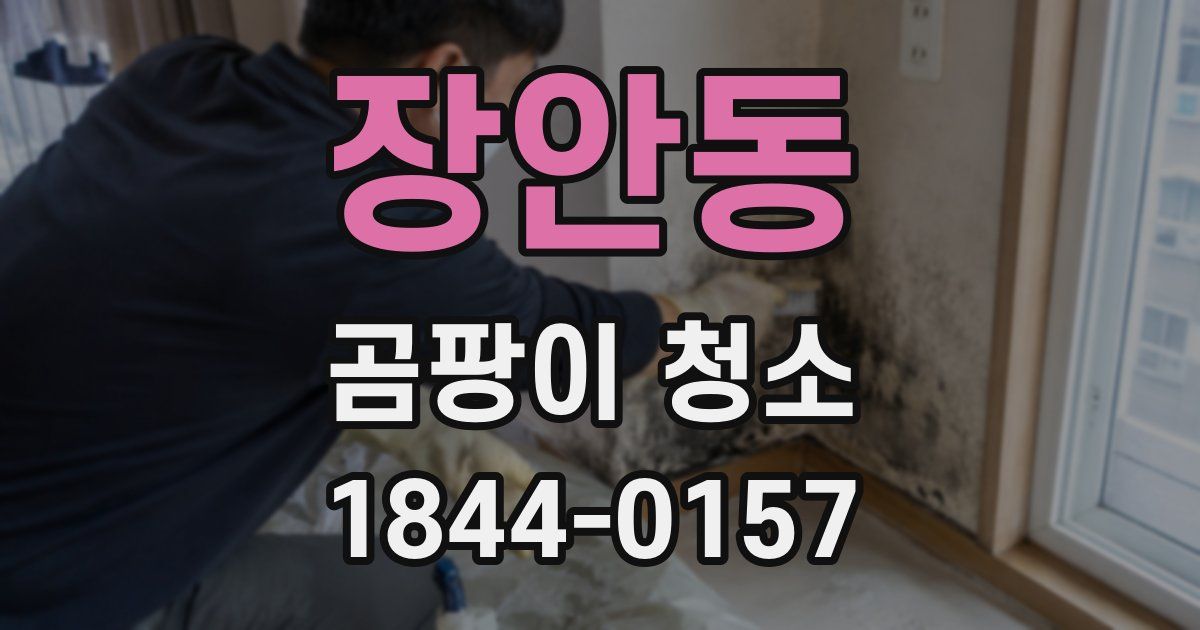 장안동 곰팡이 청소