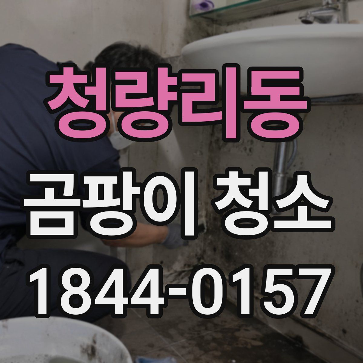 청량리동 곰팡이 청소