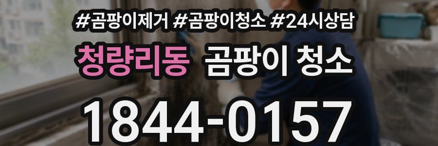 청량리동 곰팡이 청소