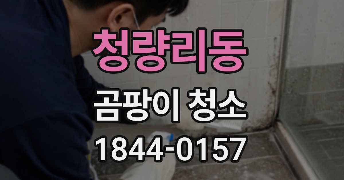 청량리동 곰팡이 청소