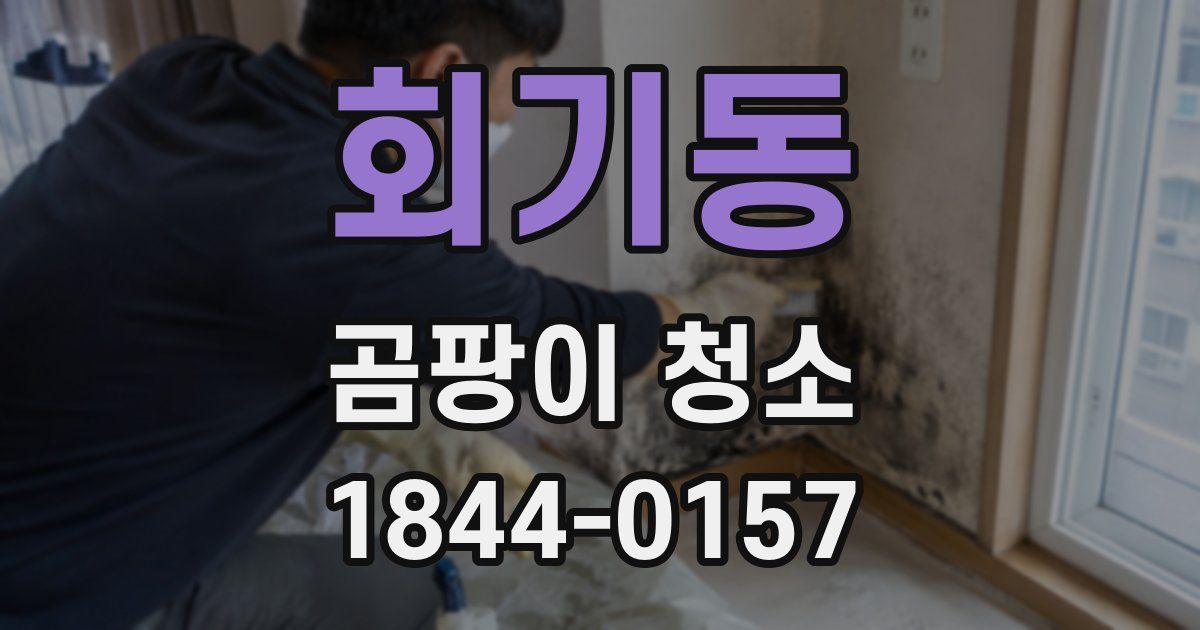 회기동 곰팡이 청소