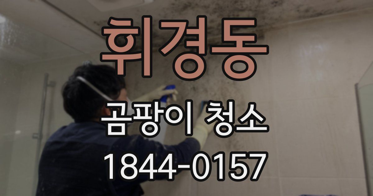 휘경동 곰팡이 청소