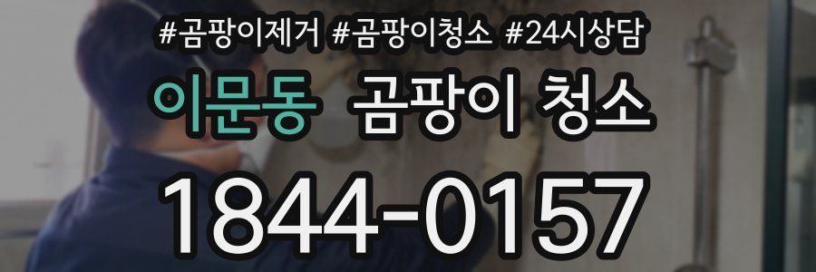 이문동 곰팡이 청소