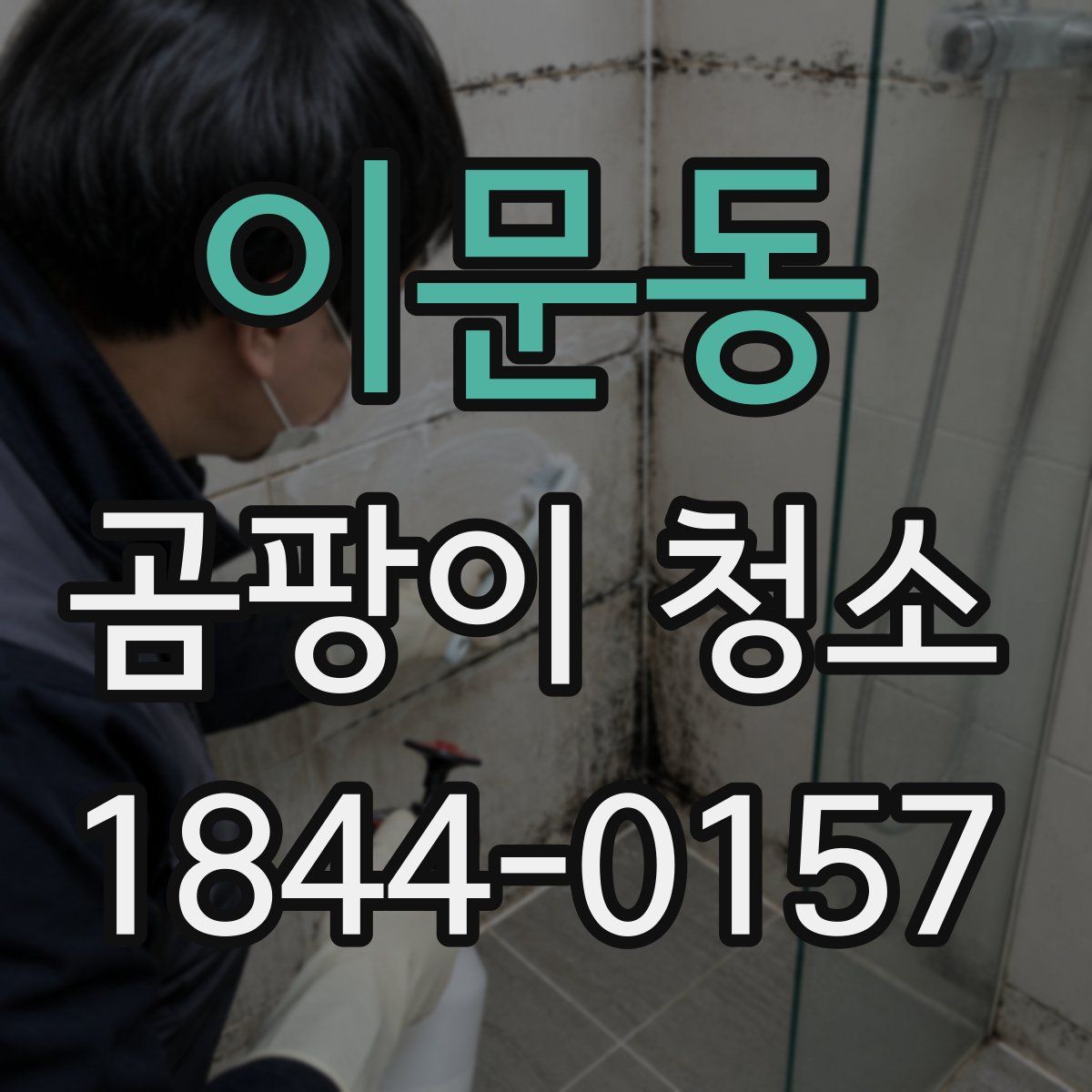 이문동 곰팡이 청소