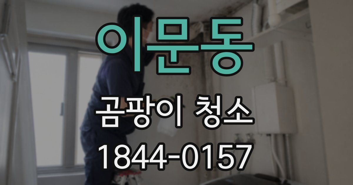 이문동 곰팡이 청소