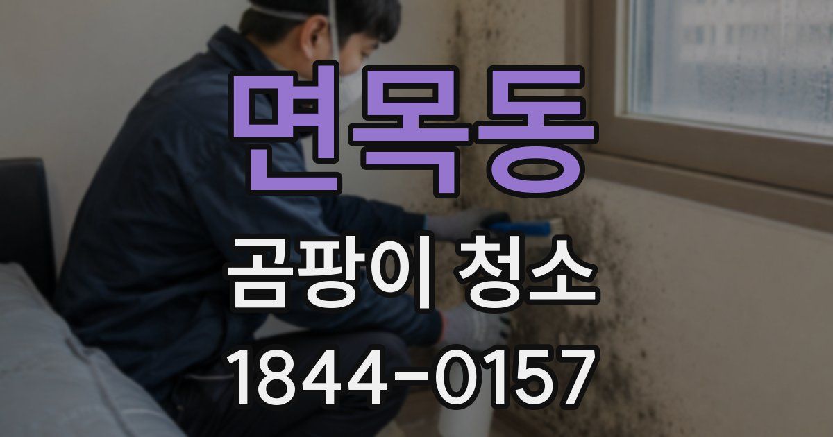 면목동 곰팡이 청소