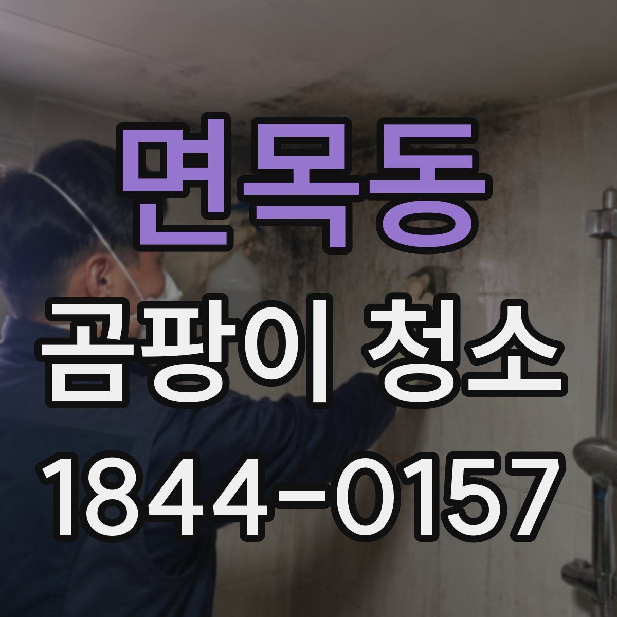 면목동 곰팡이 청소