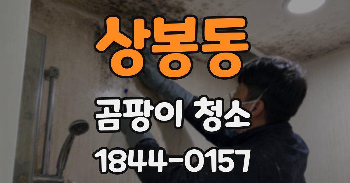 상봉동 곰팡이 청소