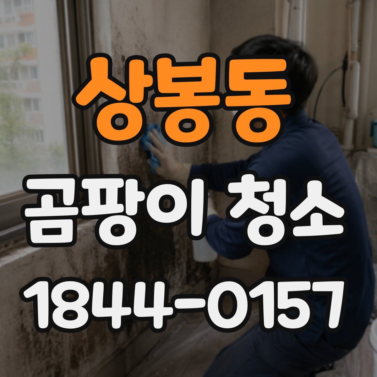 상봉동 곰팡이 청소