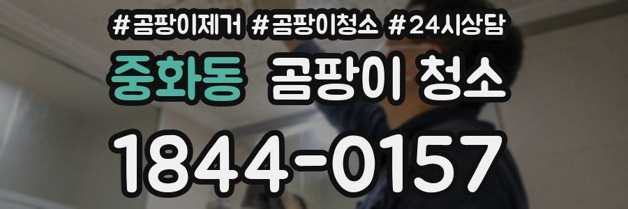 중화동 곰팡이 청소