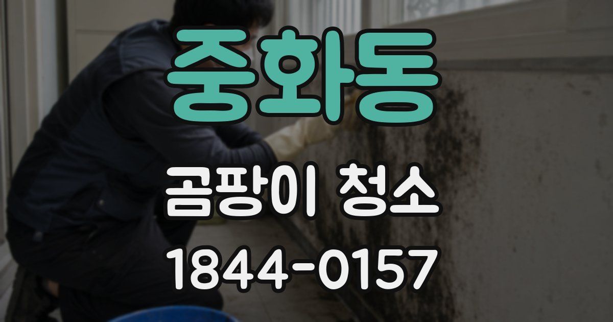 중화동 곰팡이 청소