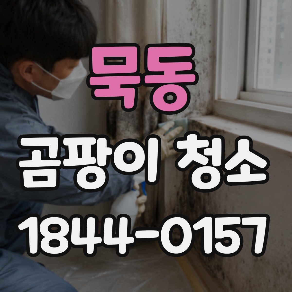 묵동 곰팡이 청소