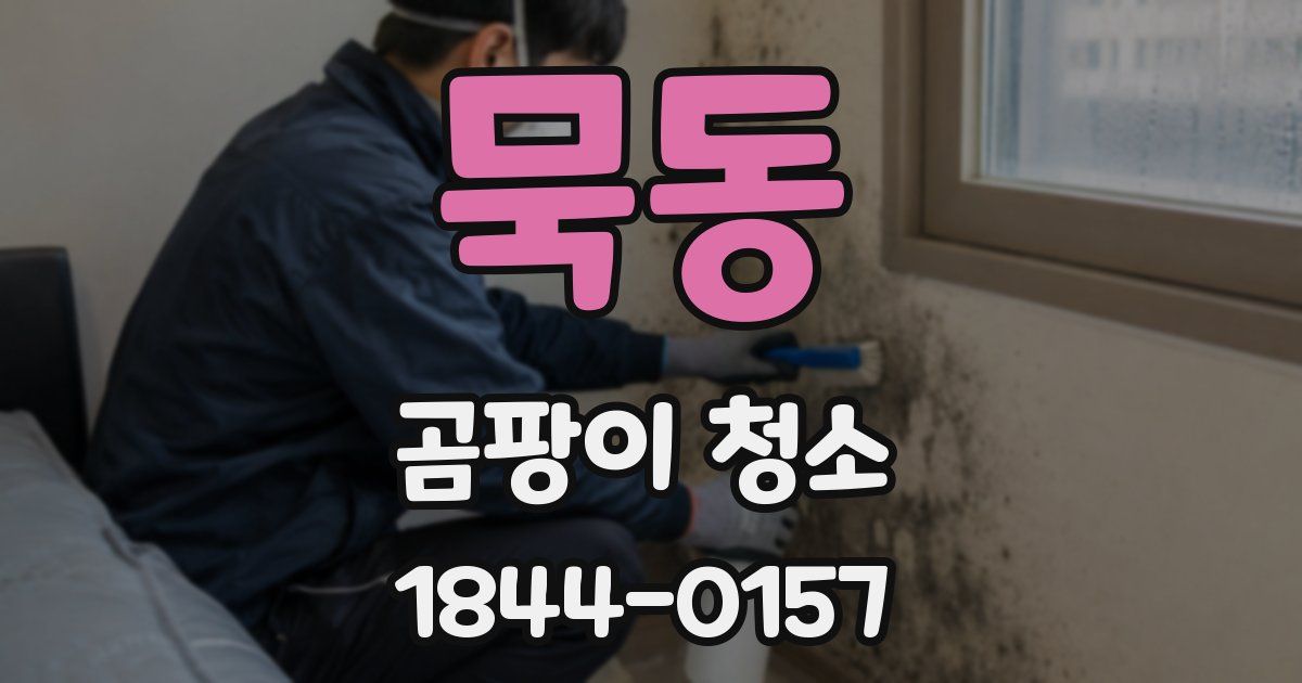 묵동 곰팡이 청소