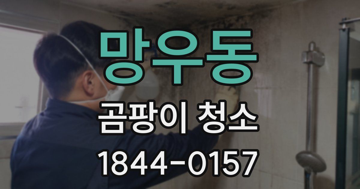망우동 곰팡이 청소