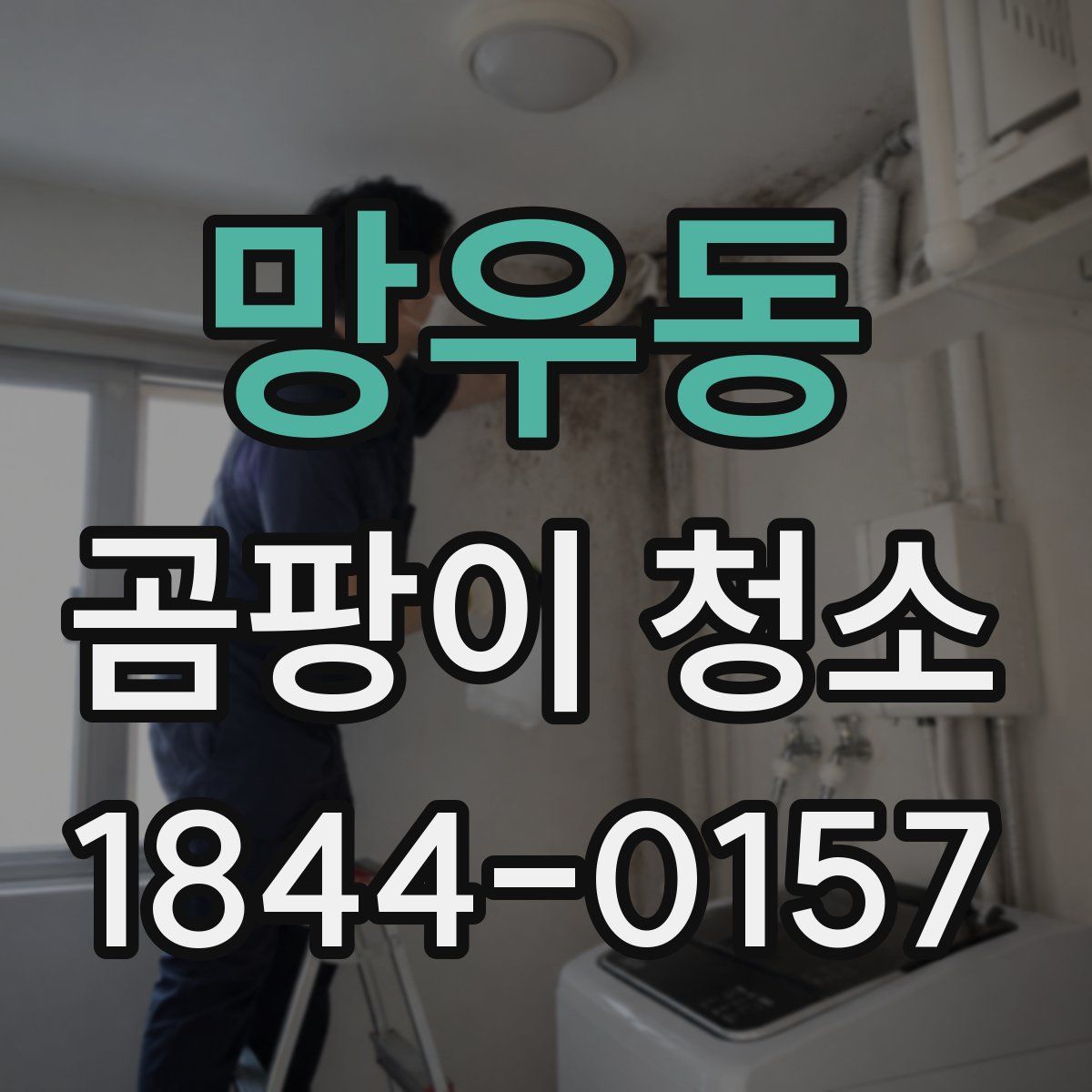 망우동 곰팡이 청소