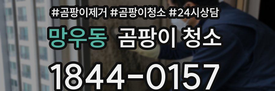 망우동 곰팡이 청소