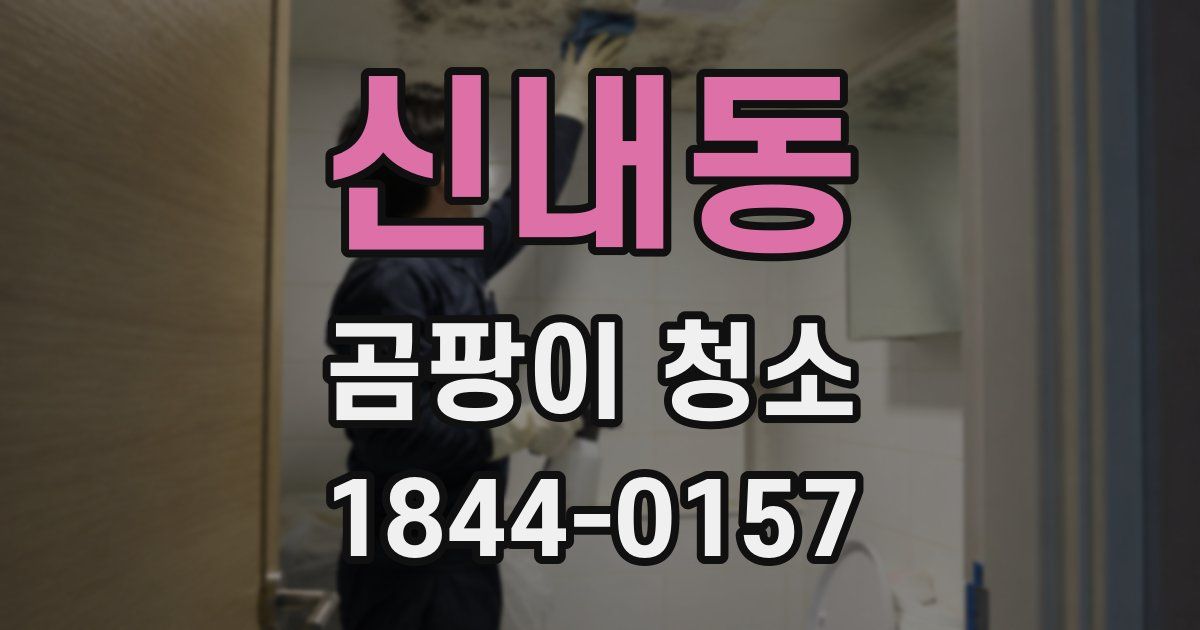 신내동 곰팡이 청소