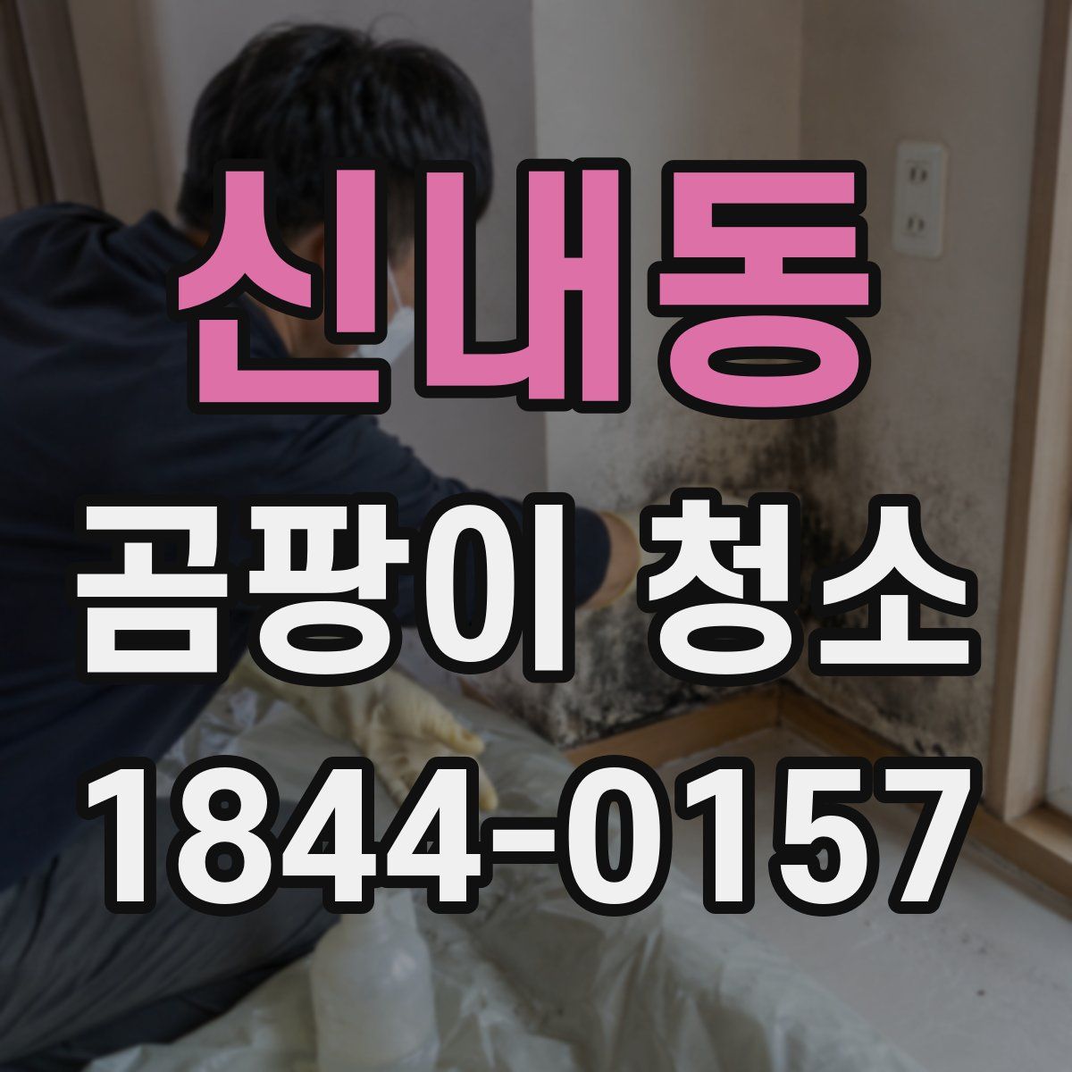 신내동 곰팡이 청소