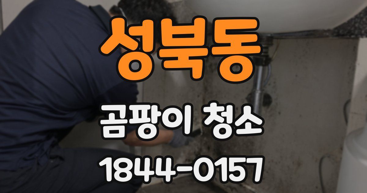 성북동 곰팡이 청소