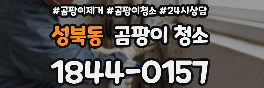 성북동 곰팡이 청소