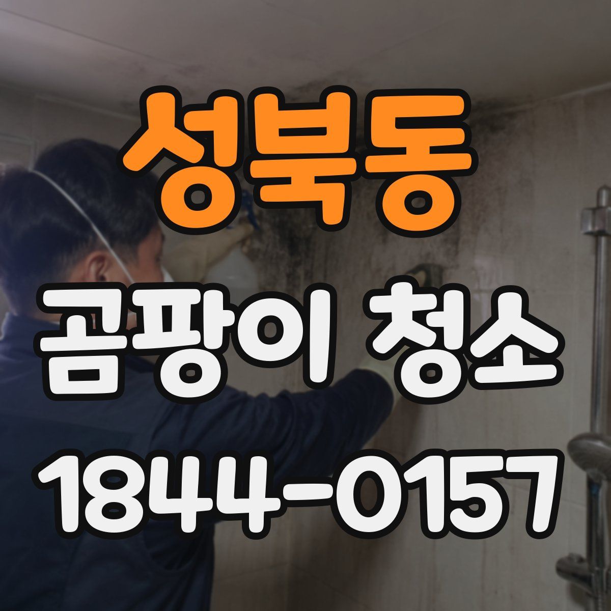 성북동 곰팡이 청소