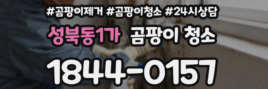 성북동1가 곰팡이 청소