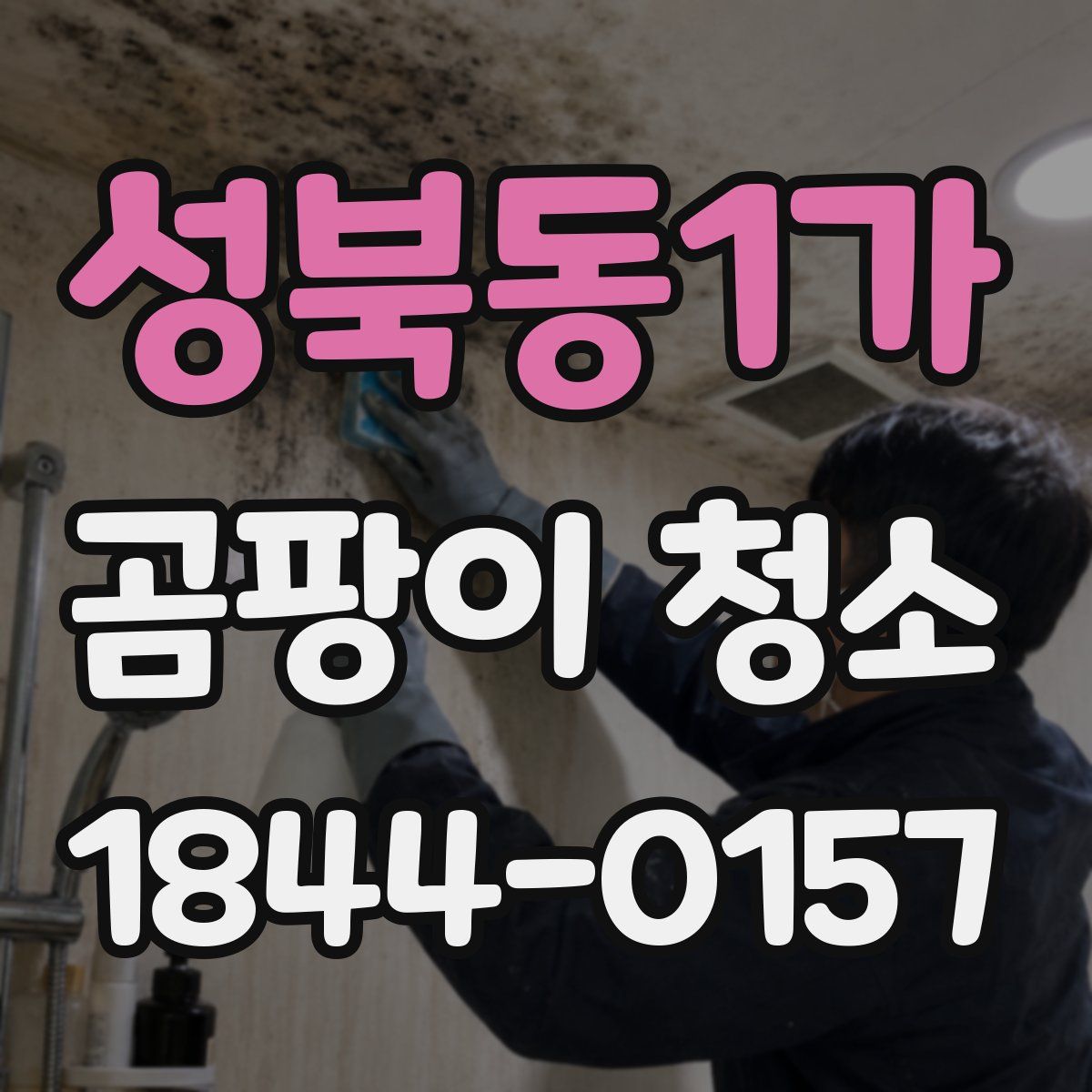 성북동1가 곰팡이 청소