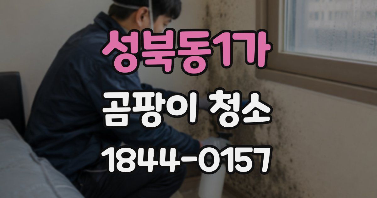 성북동1가 곰팡이 청소