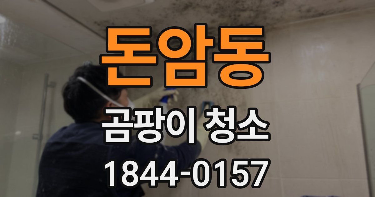 돈암동 곰팡이 청소