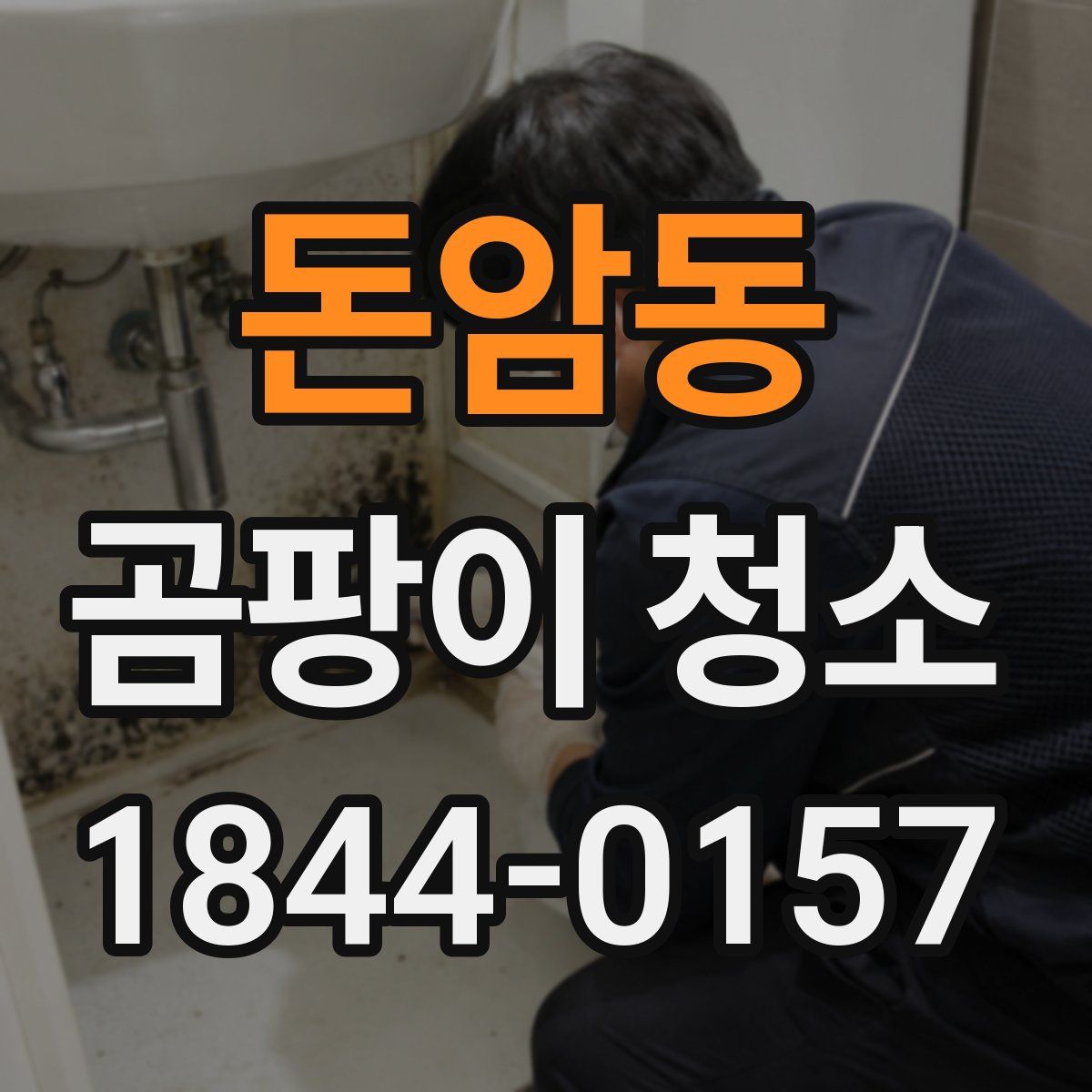 돈암동 곰팡이 청소