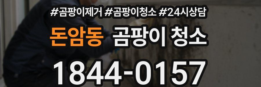 돈암동 곰팡이 청소