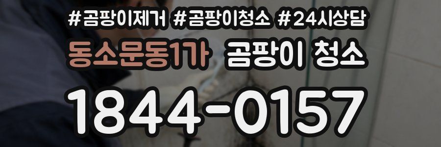 동소문동1가 곰팡이 청소