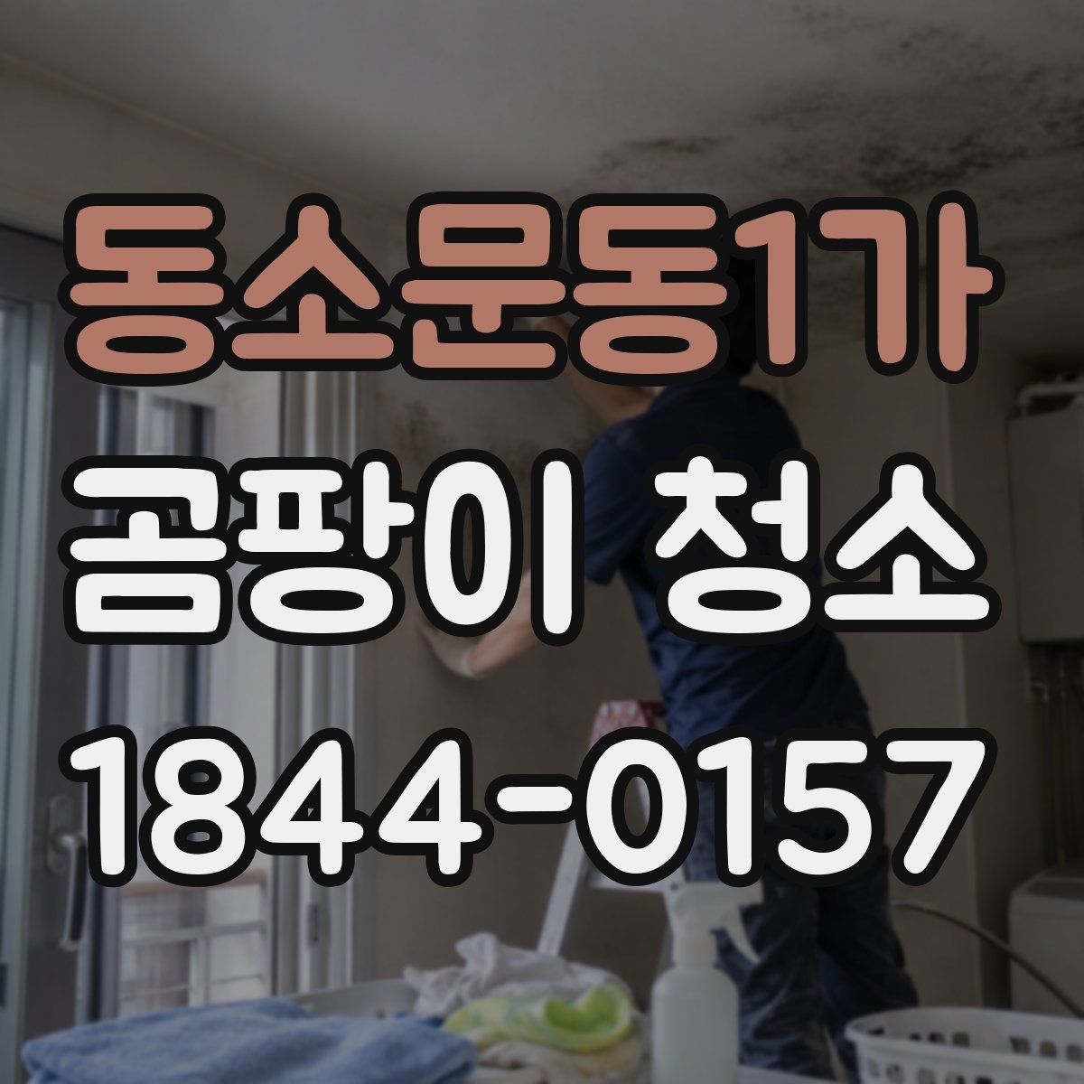 동소문동1가 곰팡이 청소