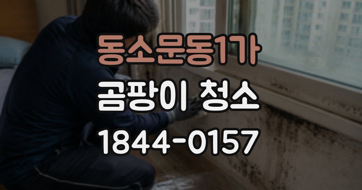 동소문동1가 곰팡이 청소