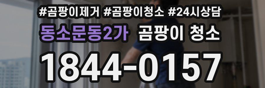 동소문동2가 곰팡이 청소