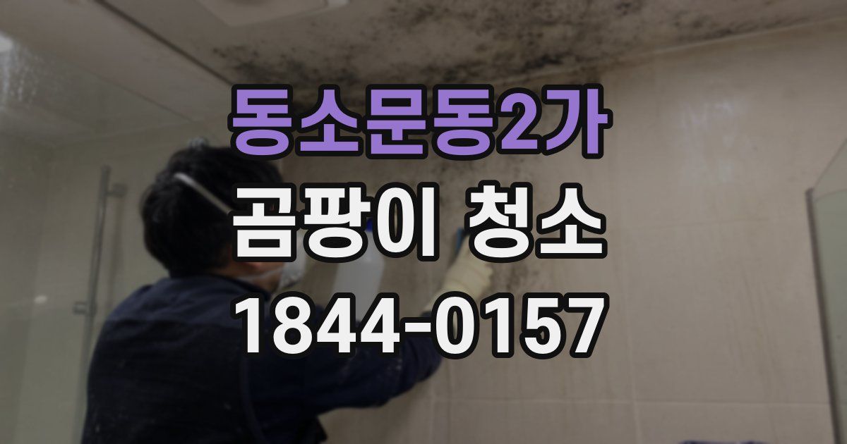 동소문동2가 곰팡이 청소