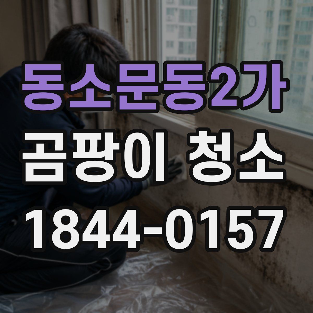 동소문동2가 곰팡이 청소