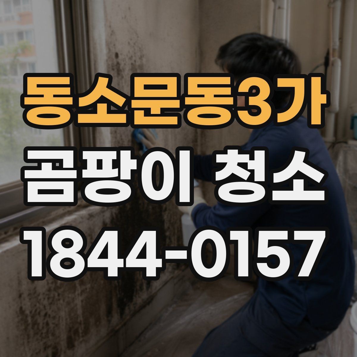 동소문동3가 곰팡이 청소 베란다 창가에 생긴 흔적을 세척하는 포인트