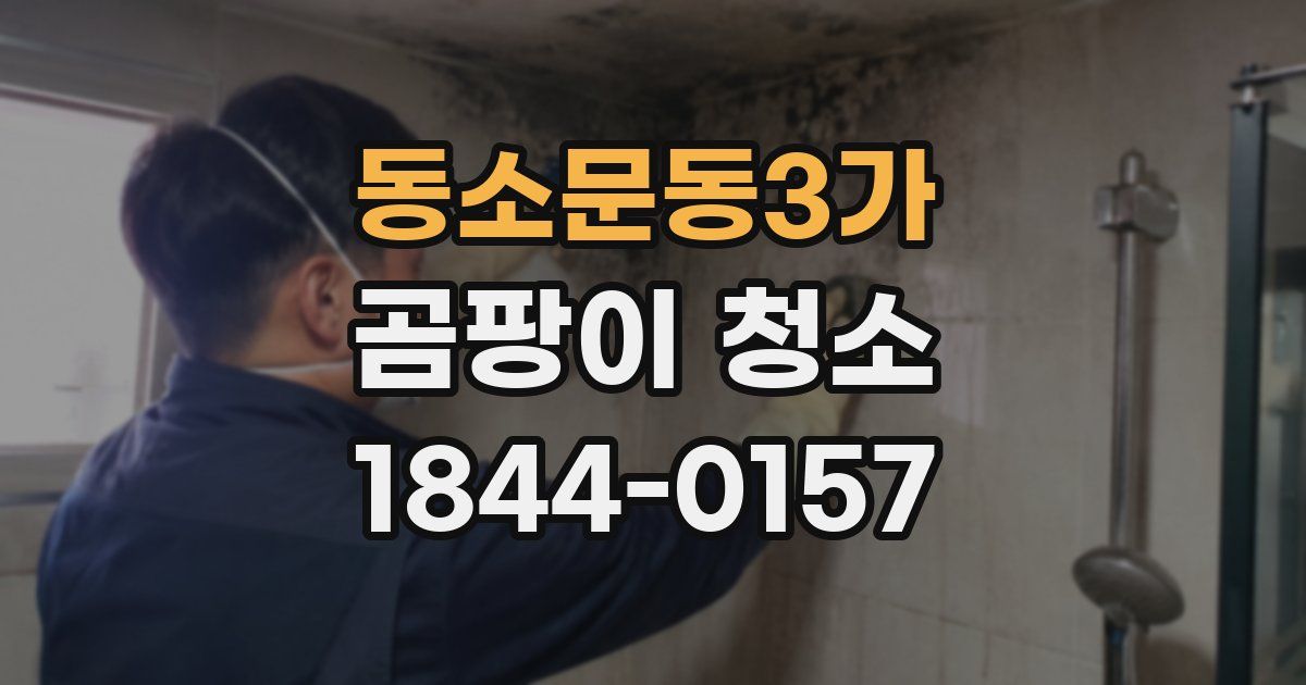 동소문동3가 곰팡이 청소