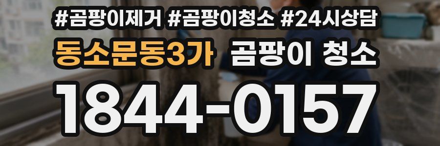동소문동3가 곰팡이 청소
